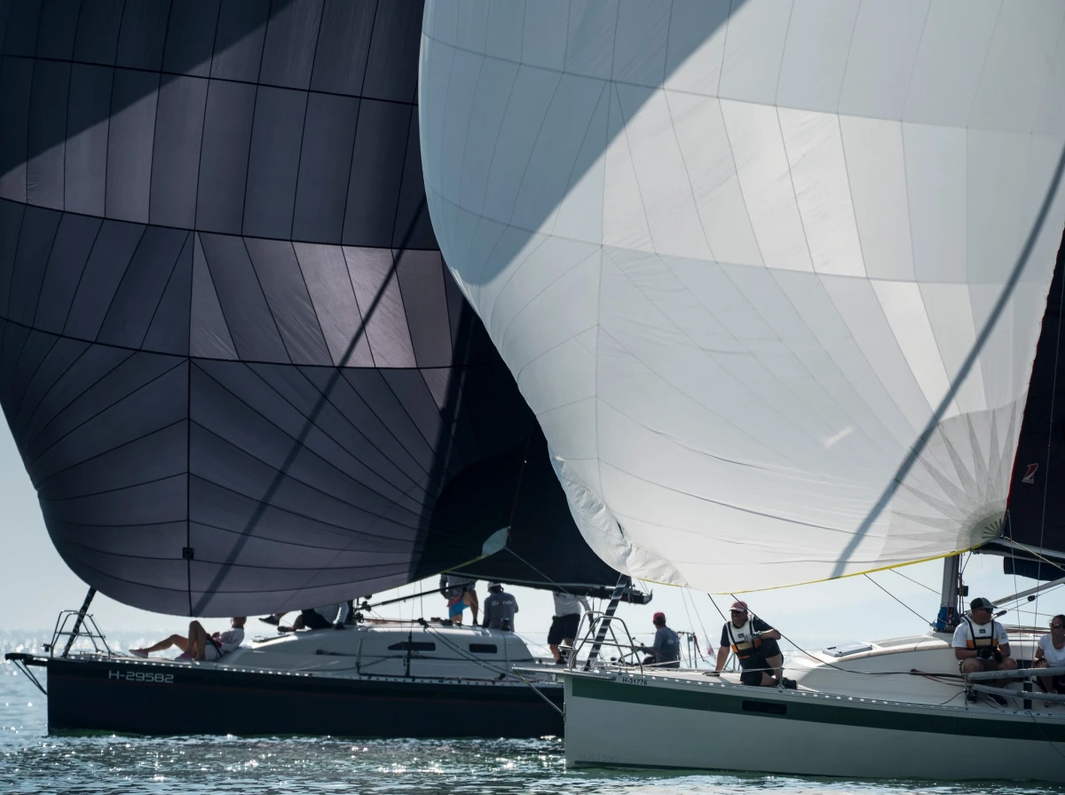 369686485_794354102692193_8237840868891289983_n