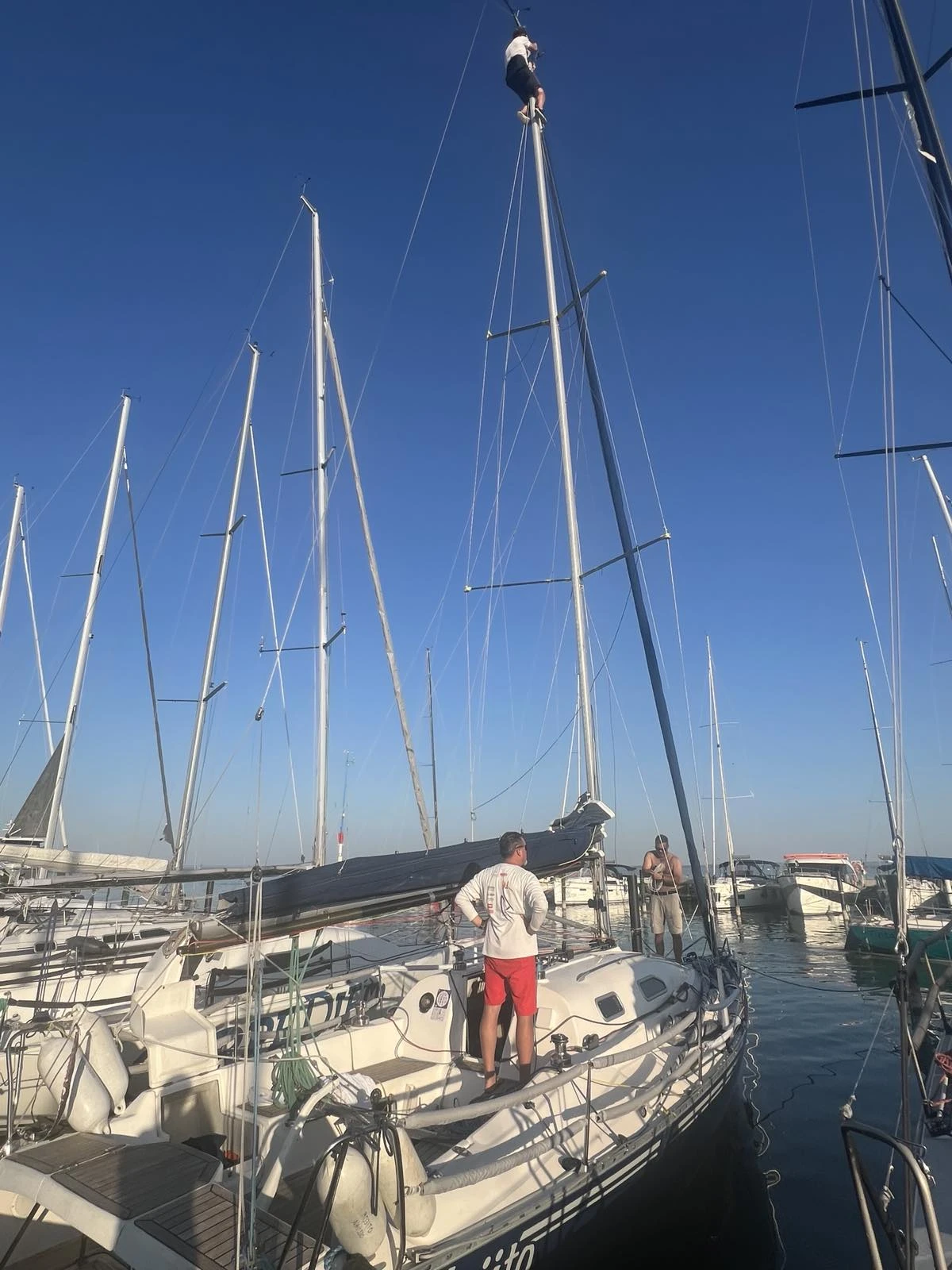 IMG-d84728aa9b0a5f96d386bf55ee98628f-V