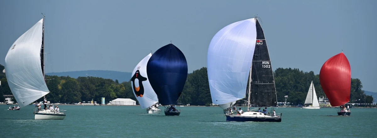 IMG-f87962bf1f3046ab83c10904d0d61ffb-V